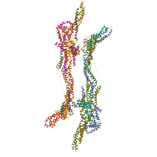 RCSB PDB - 9NBD: AUGMIN Dimer