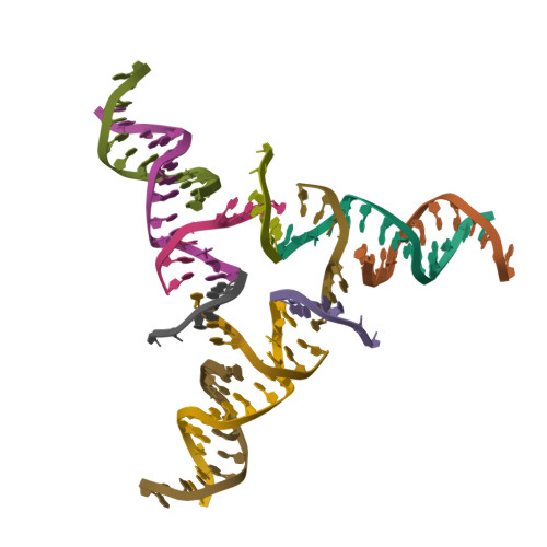 RCSB PDB - 9NDN: [0,8,11,P-2] Shifted tensegrity triangle with an (arm ...