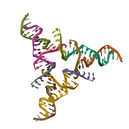 RCSB PDB - 9NE3: [1,8,10,P-2] Shifted tensegrity triangle with an (arm ...