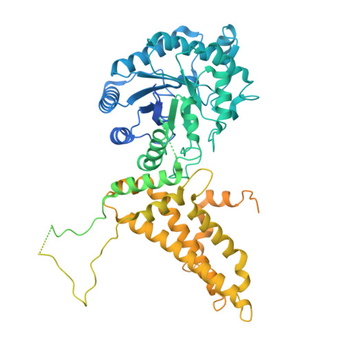 RCSB PDB - 9NE4: cryoEM structure of the A-chain of the human OGA-L ...