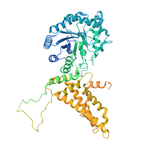 RCSB PDB - 9NE5: cryoEM structure of the B-chain of the human OGA-L ...