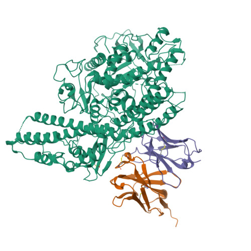 Structure 9NEY