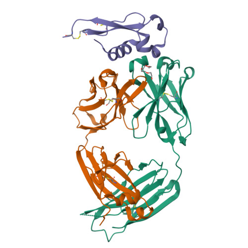 Structure 9NHY