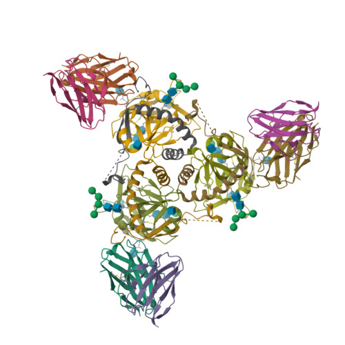 Envelope glycoprotein structure