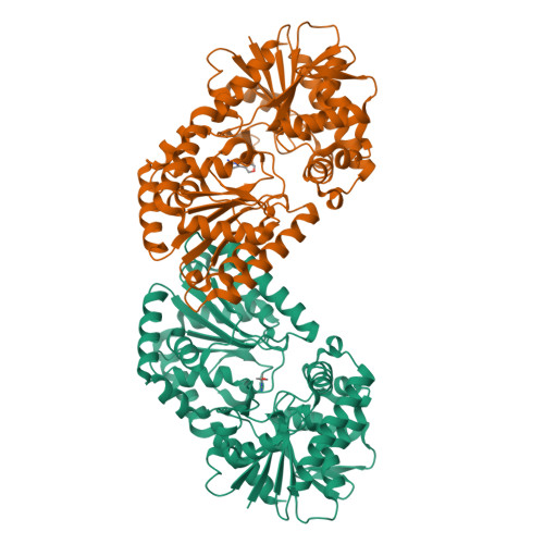Nkb Complex RCSB PDB - 9NKB: Structure of Candida albicans trehalose-6-phosphate ...