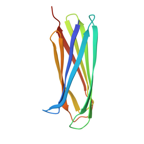 Structure 9NMZ