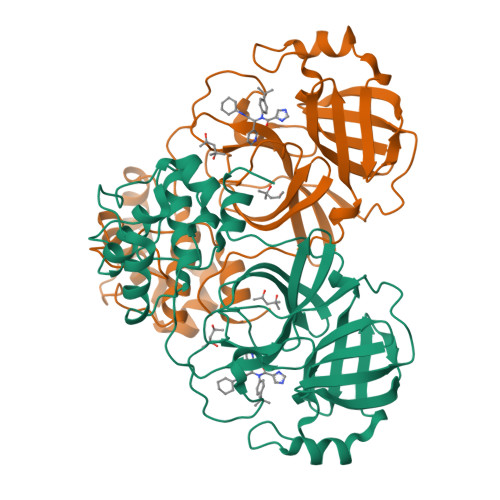 Structure 9NNV