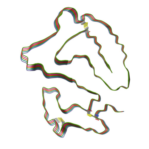 RCSB PDB - 9NON: Cryo-EM structure of amyloid fibril isolated from the ...