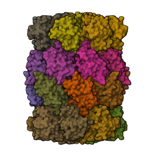 Structure 9NQL