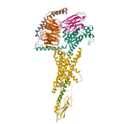 Structure 9NSI