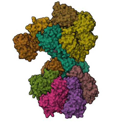 Structure 9NSP