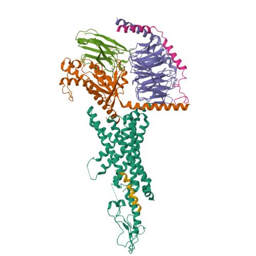 Structure 9NT8