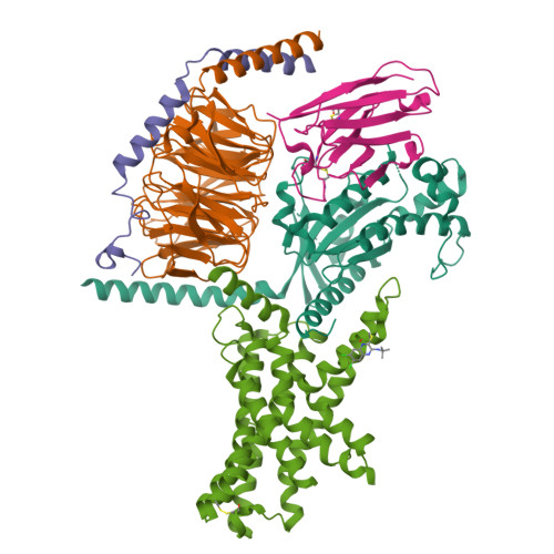 Structure 9NT9