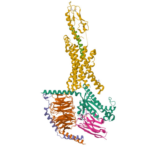 Structure 9NTV