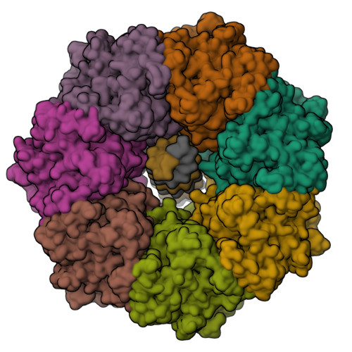 RCSB PDB - 9NUY: SsoPfMCM:DNA class 3 from DNA 2
