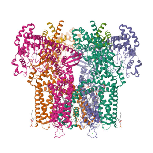 RCSB PDB - 9NVO: Structure of Nanchung-Inactive-Calmodulin in complex ...
