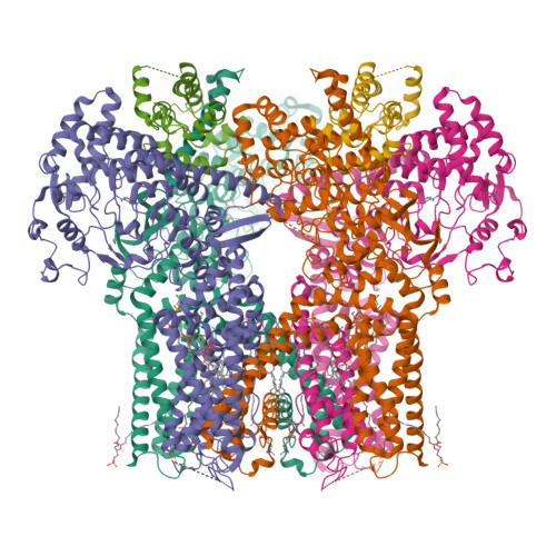 RCSB PDB - 9NVP: Structure of Nanchung-Inactive-Calmodulin in complex ...