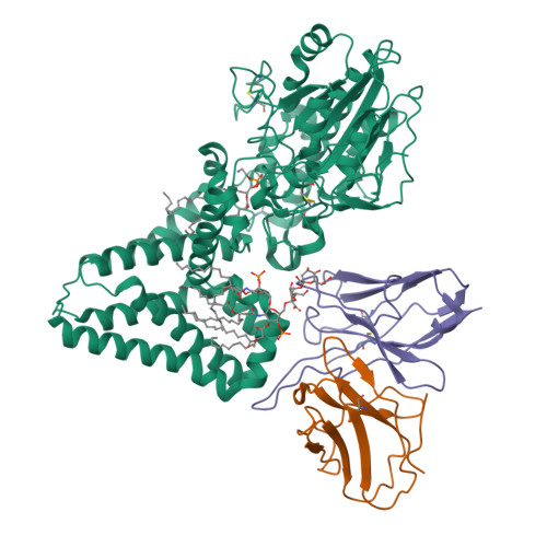 RCSB PDB - 9NWW: Single-particle cryo-EM structure of the first variant ...