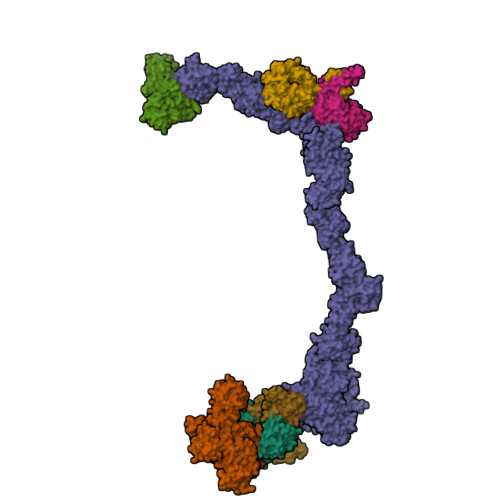 RCSB PDB - 9O5A: The KICSTOR-GATOR1 complex