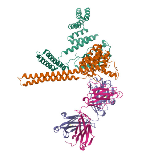 Structure 9O7D