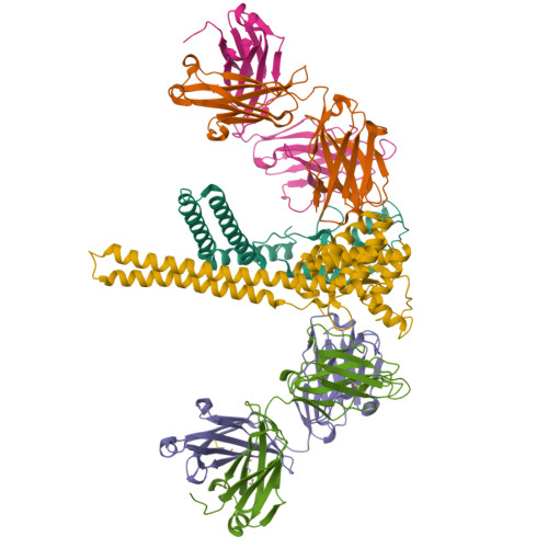 Structure 9O7E
