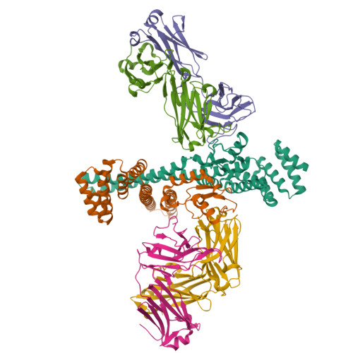 Structure 9O7F