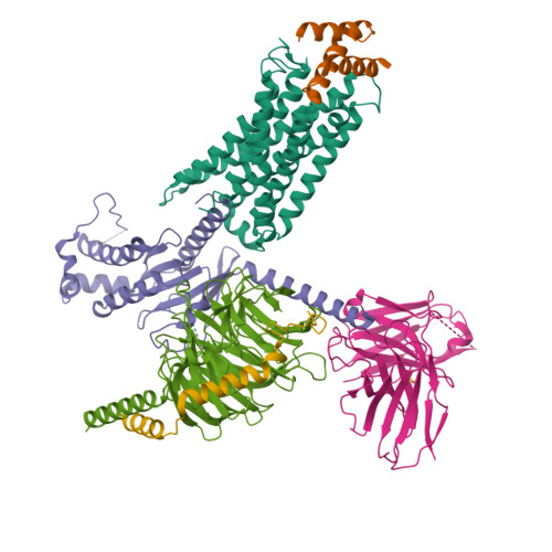 Structure 9O8L