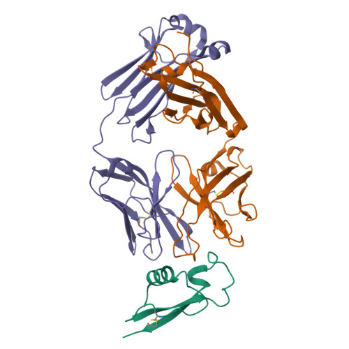 Structure 9O8O
