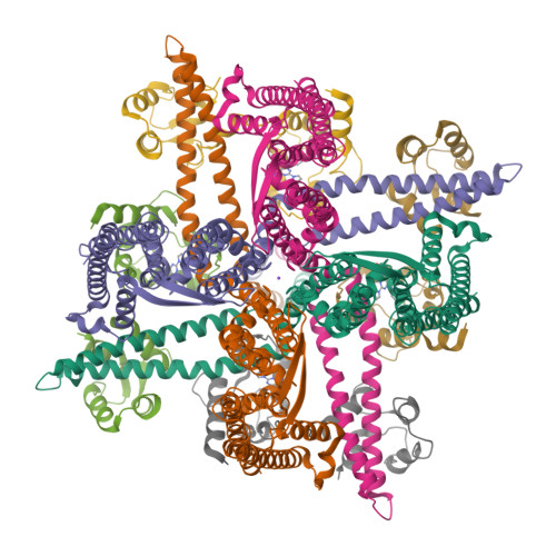 RCSB PDB - 9O93: Cryo-EM structure of KCa2.2_II/calmodulin channel in ...
