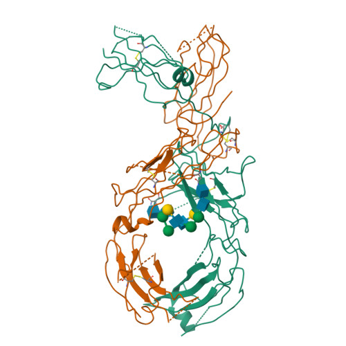 RCSB PDB - 9OA9: CryoEM structure of anti-MHC-I mAb B1.23.2 Fc domains