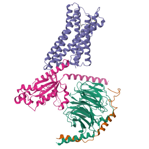 RCSB PDB - 9ODE: Structure of the MOR/Gi/Lofentanil Complex, Nucleotide ...
