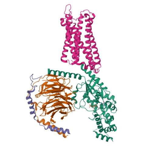 RCSB PDB - 9ODG: Structure of the MOR/Gi/Lofentanil Complex, GTP-bound ...