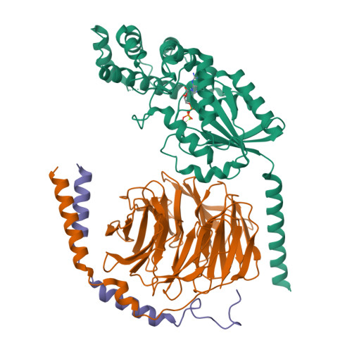 RCSB PDB - 9ODP: Structure of the MOR/Gi/DAMGO Complex, GTP-Bound, G-ACT-3