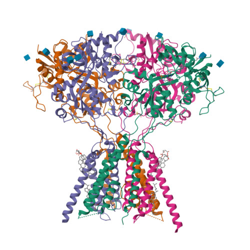 Structure 9OEM