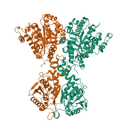 RCSB PDB - 9OF1: CryoEM structure of Cad1 in Apo form, symmetry ...