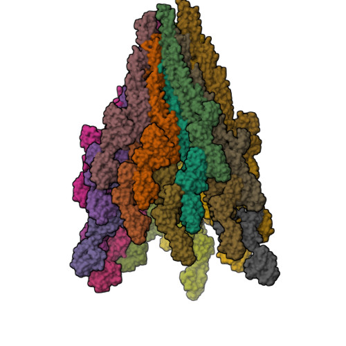 Structure 9OFN