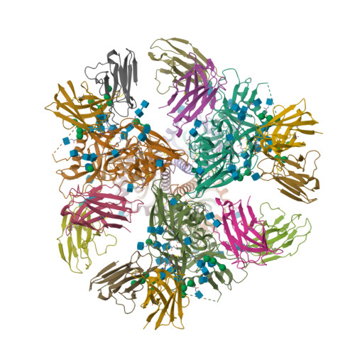 RCSB PDB - 9OGU: HIV-1 Env BG505 SOSIP.664-dPG-His in complex with ...