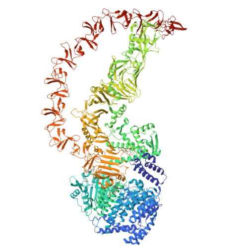 RCSB PDB - 9OHC: CryoEM structure of Toxin B (TcdB) from clostridioides ...