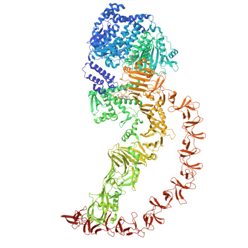 RCSB PDB - 9OHD: CryoEM structure of Toxin B (TcdB) from clostridioides ...