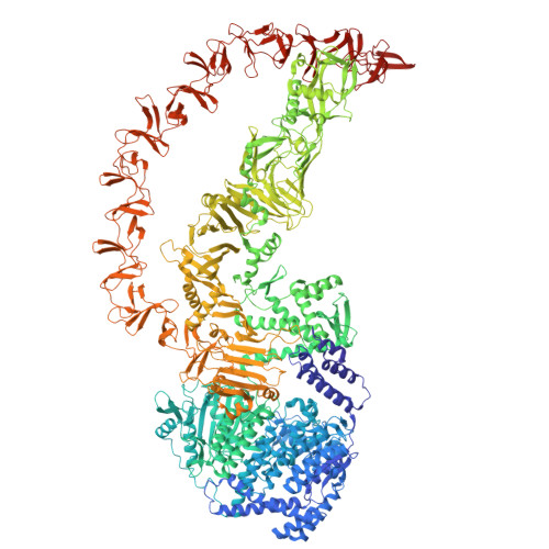 RCSB PDB - 9OHE: CryoEM structure of apo Toxin B (TcdB) from ...