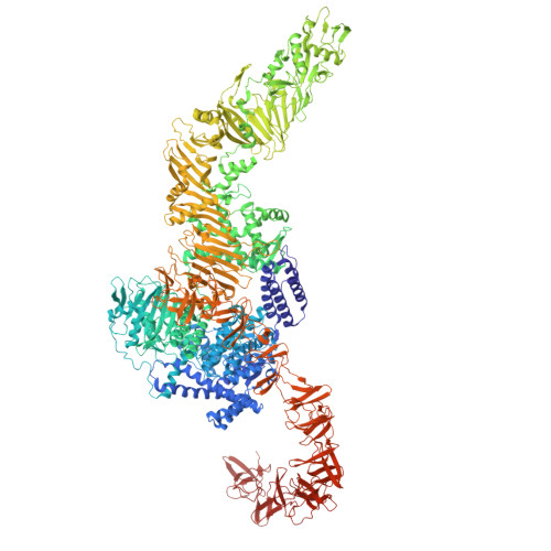 RCSB PDB - 9OHF: CryoEM structure of apo Toxin B (TcdB) from ...