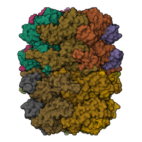 RCSB PDB - 9OHN: Cryo-EM structure of human p97/VCP bound to inhibitor ...