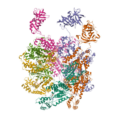 Structure 9OJ2