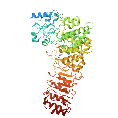 Structure 9OK8
