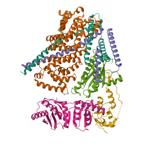 Structure 9OKK