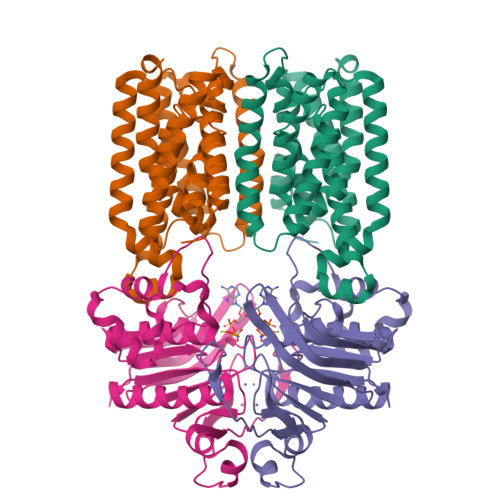 RCSB PDB - 9OKO: CryoEM structure of the E. coli zinc ABC