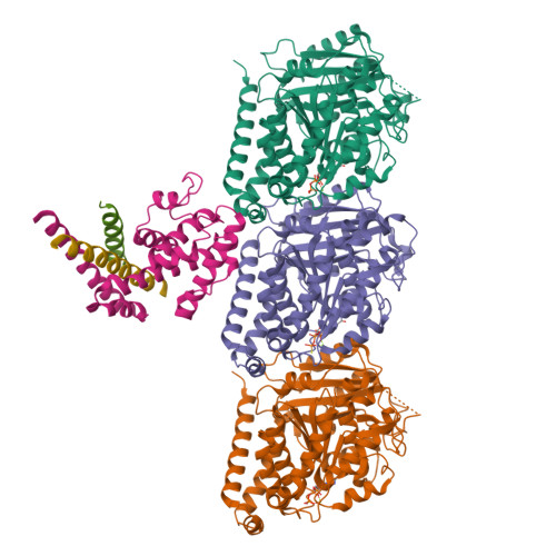 RCSB PDB - 9OLH: Symmetry-expanded reconstruction of augmin T-II bonsai ...