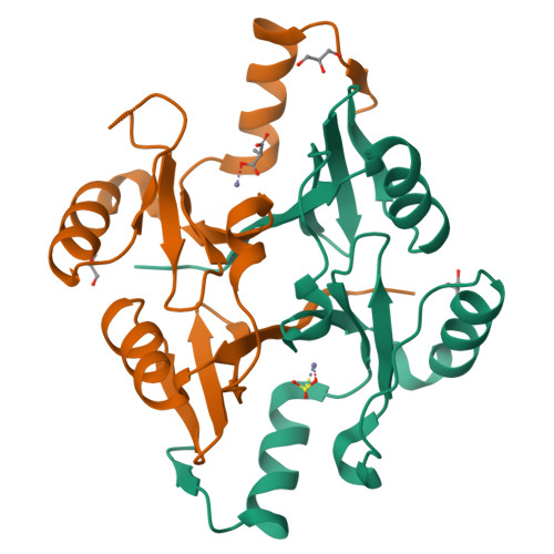 Structure 9ONS