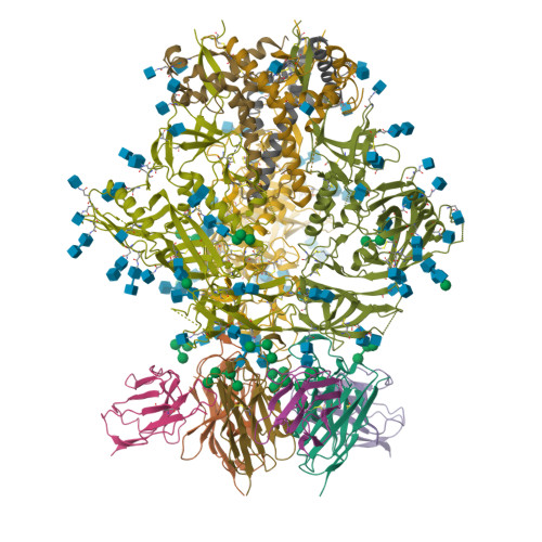 RCSB PDB - 9OOM: Cryo-EM structure of vaccine-elicited antibody