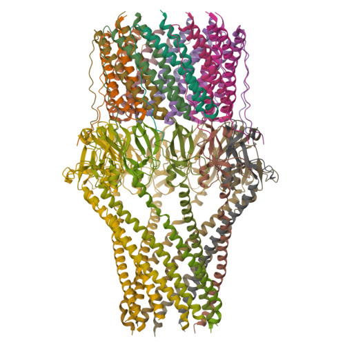 RCSB PDB - 9OOX: Cryo-EM Structure of the Escherichia phage HK446
